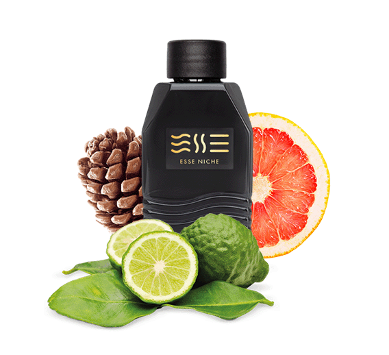 243 unisex "ESSE fragrance" Niche Аналог парфумів Blue Talisman Ex Nihilo