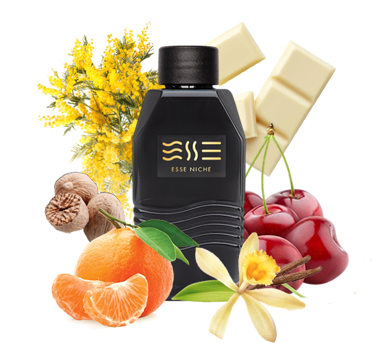 250 unisex "ESSE fragrance" Niche Аналог духов White Chocola Richard
